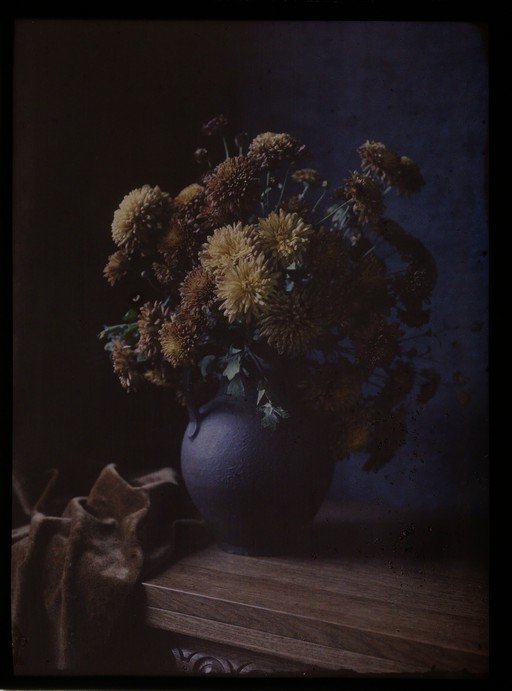 Moody Still Life of Dried Chrysanthemums in a Dark Vase