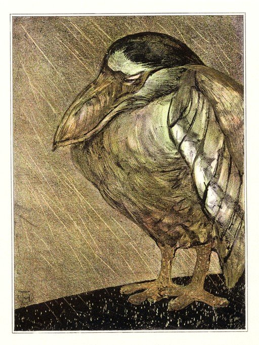 Bird in the Rain