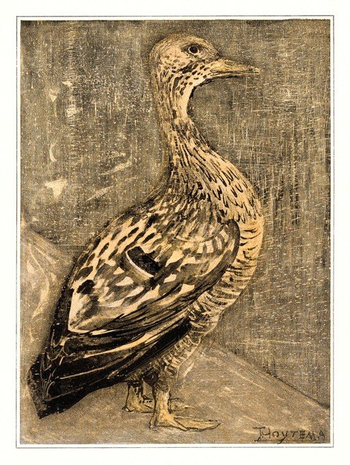 Artistic Duck Portrait in Sepia Tones
