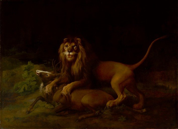 Lion Attacking a Deer in a Dark Forest