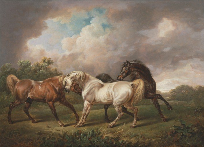 Three Horses in a Dramatic Landscape