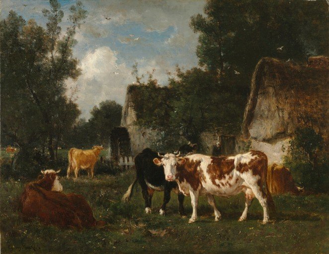 Cows Grazing Near Thatched Cottage