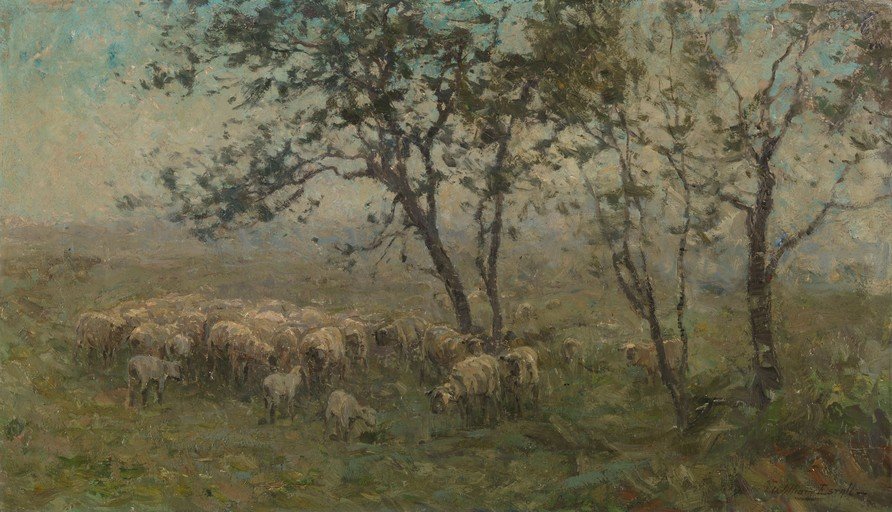 Sheep Grazing Under Trees in a Misty Landscape