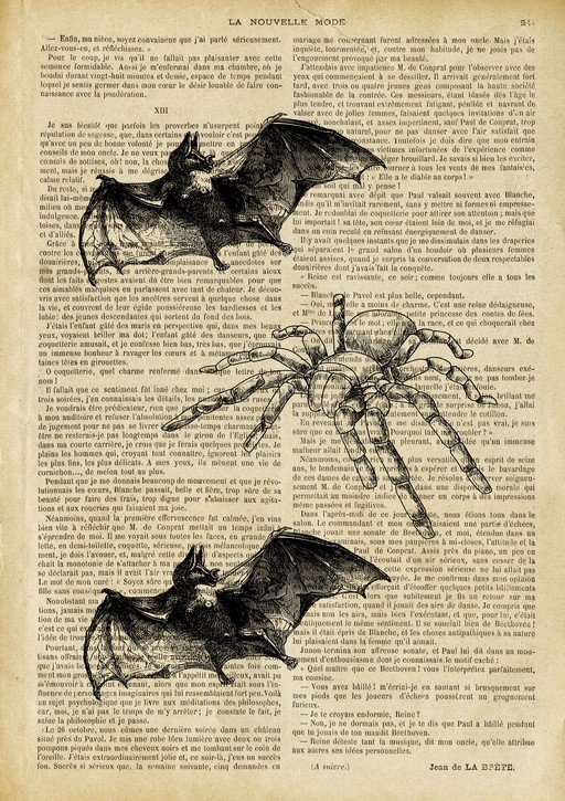 Vintage Illustration of Bats and Spider on Old Paper