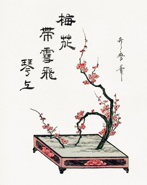 Japanese Plum Blossom Bonsai with Calligraphy