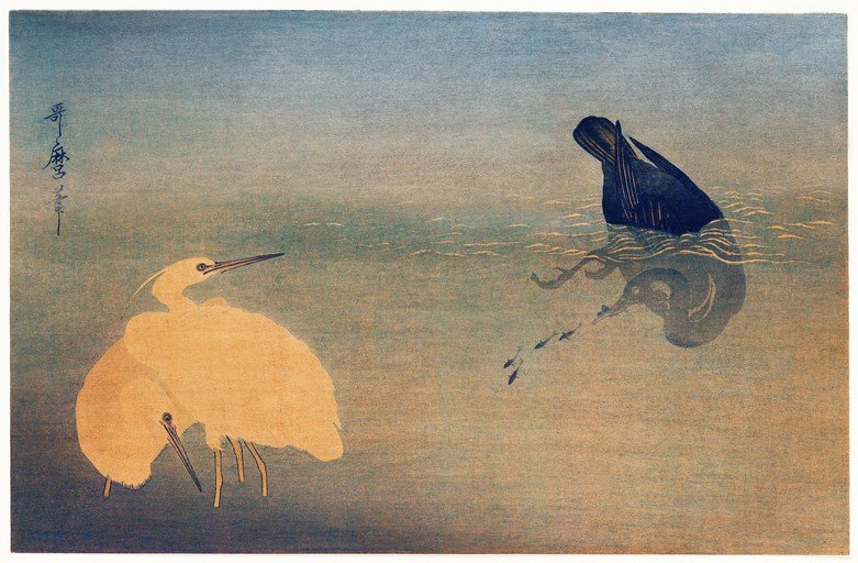 Two Egrets and a Cormorant Hunting Fish