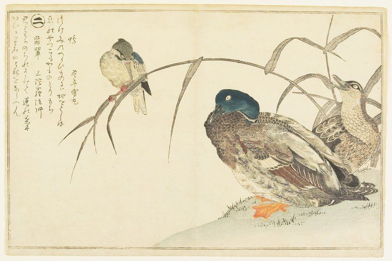 Japanese Woodblock Print of Ducks and a Bird