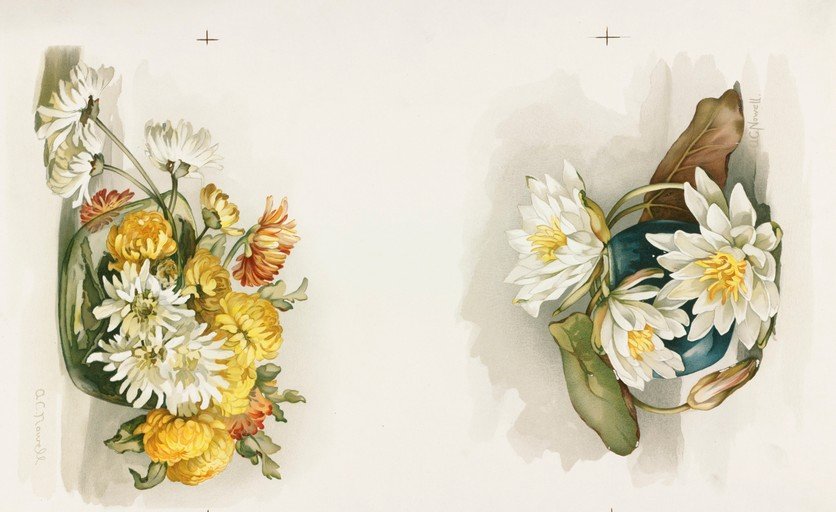 Botanical Watercolor of Chrysanthemums and Water Lilies