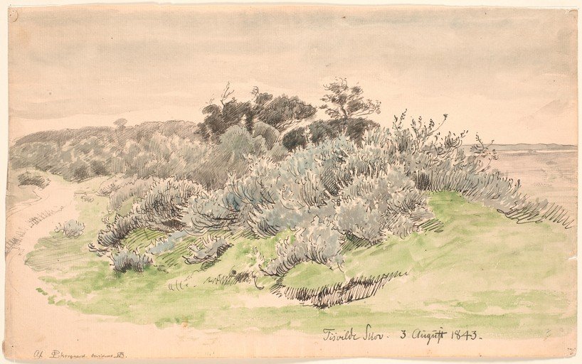 Coastal Landscape Sketch with Bushes and Trees
