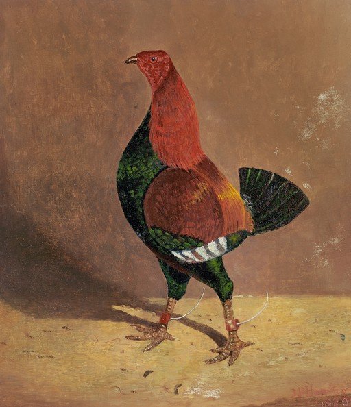 Rooster Portrait Painting