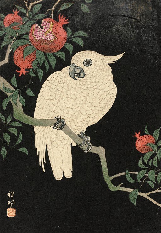 White Cockatoo and Pomegranates