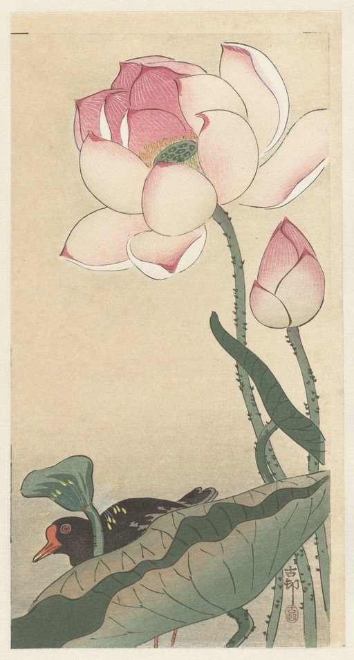 Lotus Flowers and Bird