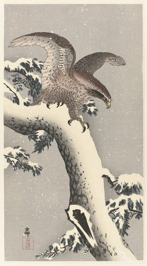 Eagle Perched on Snowy Tree Branch in Winter
