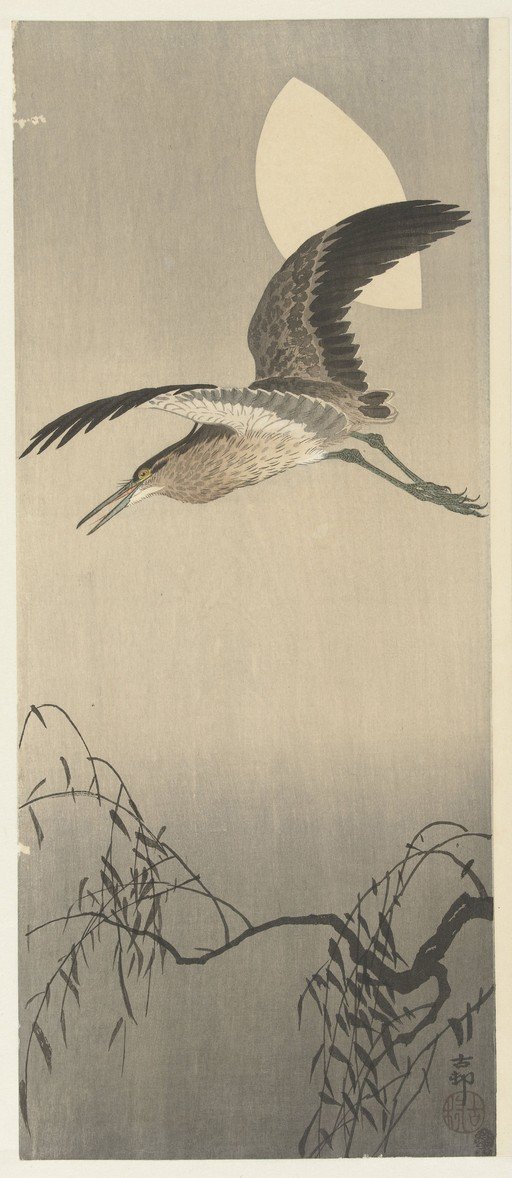 Heron in Flight Under a Crescent Moon