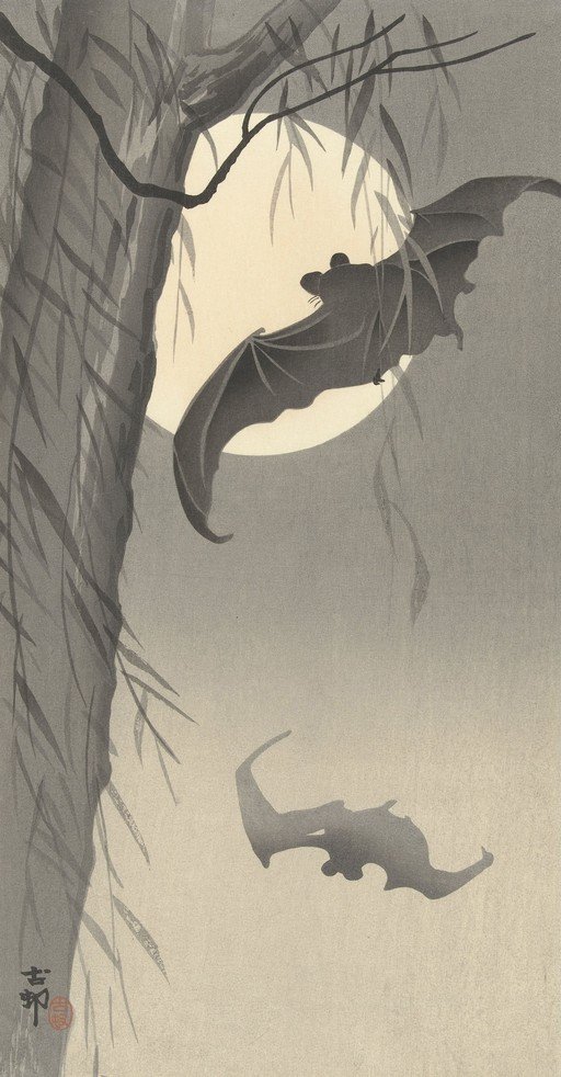 Bats Flying Under a Full Moon