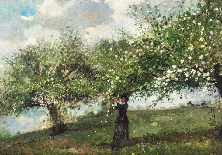 Woman in Blooming Orchard