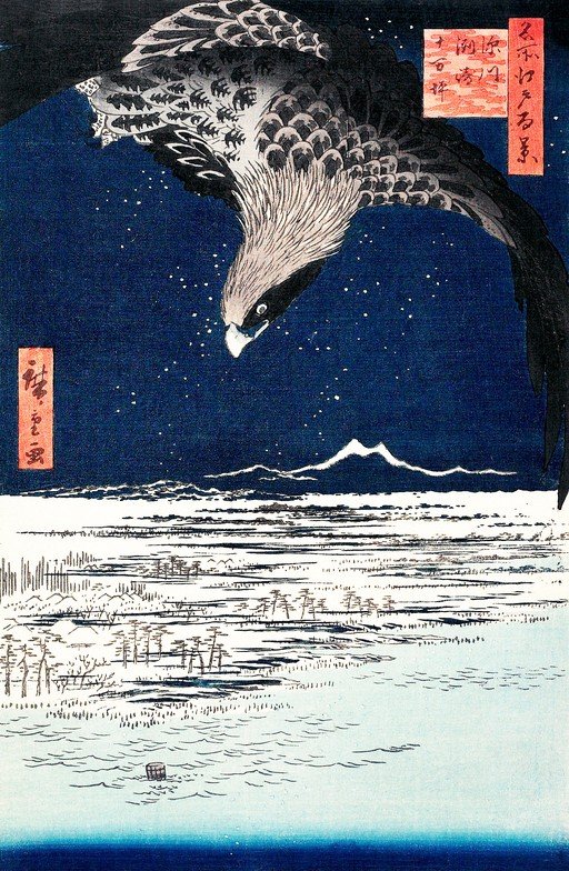 Hawk Over Snowy Landscape at Night