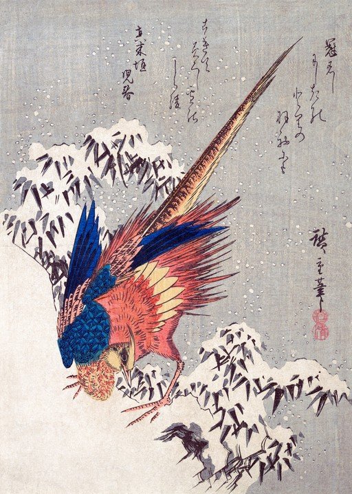Pheasant in Snow
