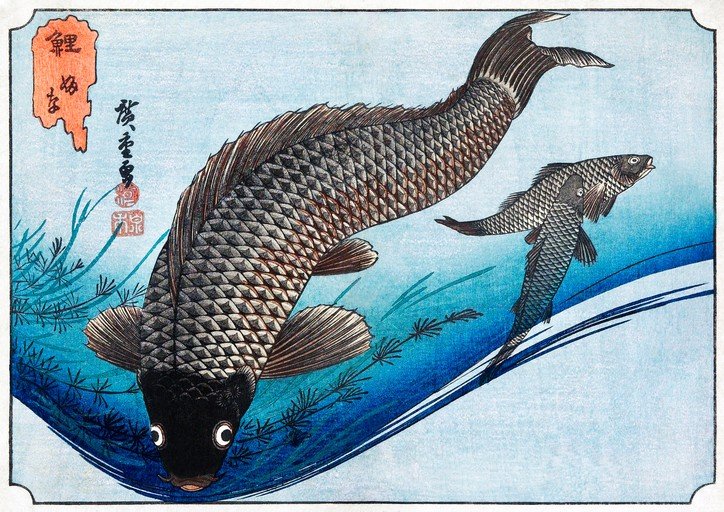 Japanese Woodblock Print of Two Carp Swimming in Blue Water