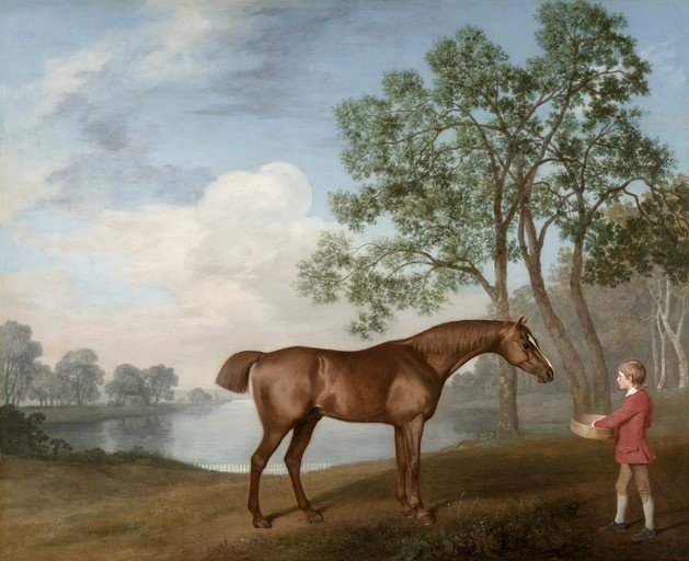 Boy Feeding a Horse by a River