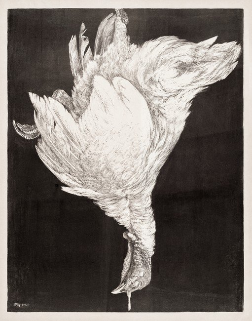 Detailed Drawing of a Dressed Turkey