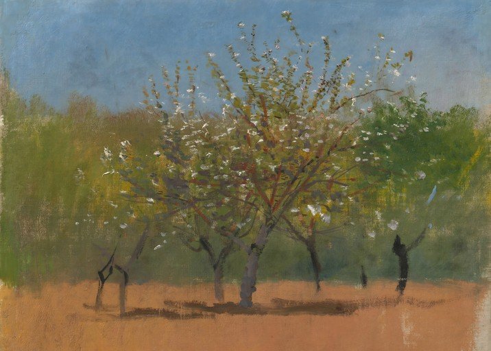 Blossoming Trees in a Field