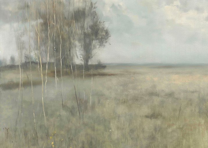 Misty Landscape with Birch Trees and Field