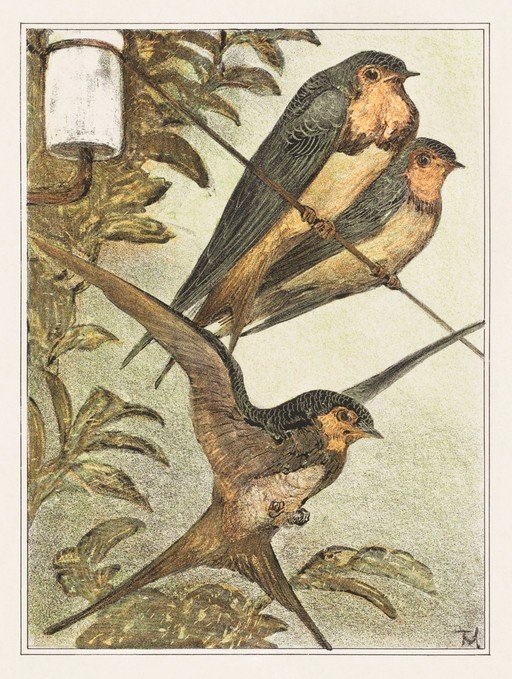 Three Swallows Perched and in Flight