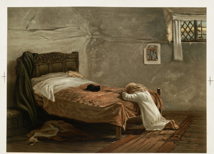 Child Praying Beside Bed with Cat