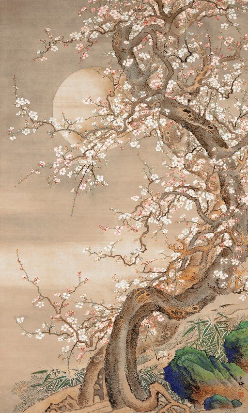 Japanese Plum Blossom Tree Under the Moon