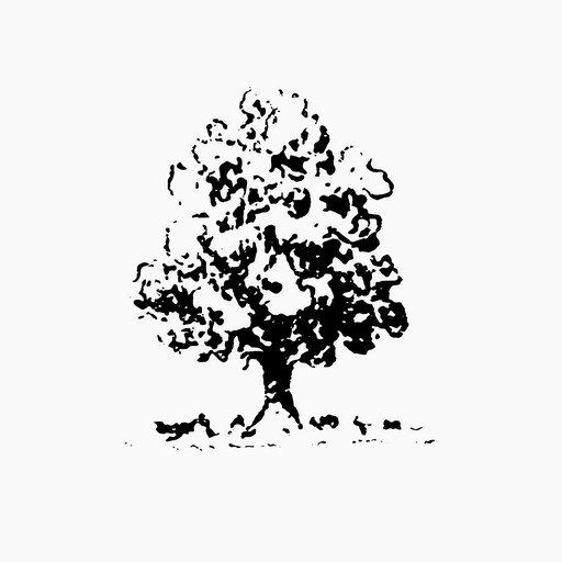 Stylized Black and White Tree Illustration