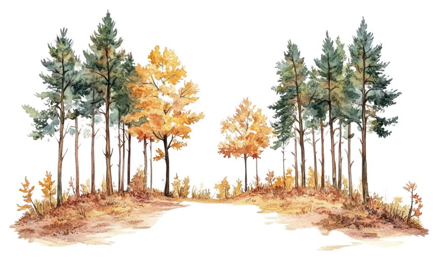 Watercolor Autumn Forest Path