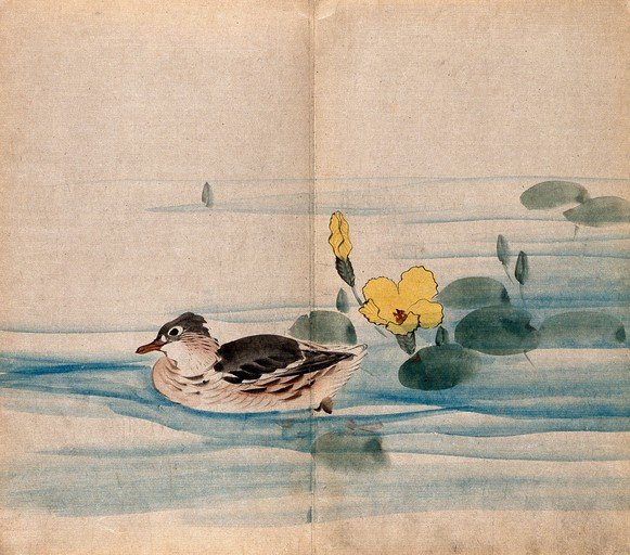 Mandarin Duck and Water Lilies in Traditional Asian Art