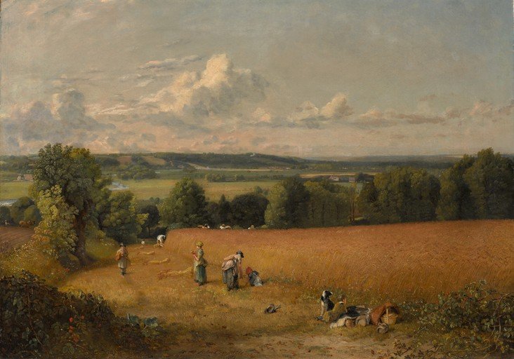 Rural Harvest Scene with Figures and Cattle