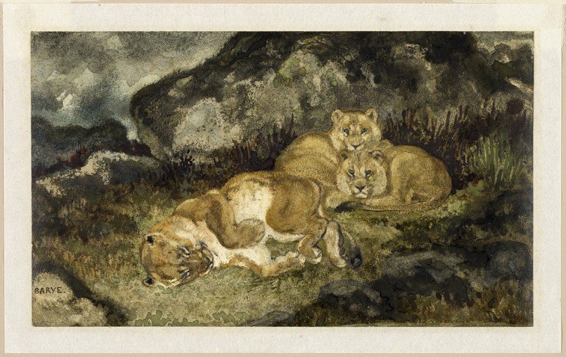 Three Lions Resting in a Rocky Landscape