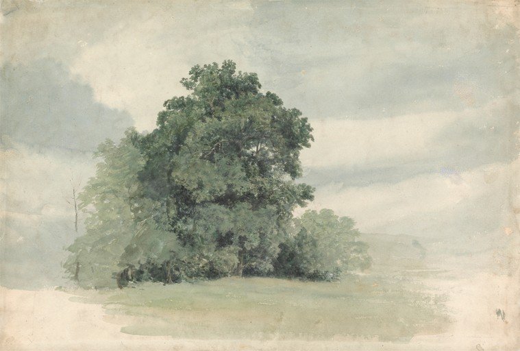 Watercolor Landscape with Trees and Hazy Sky