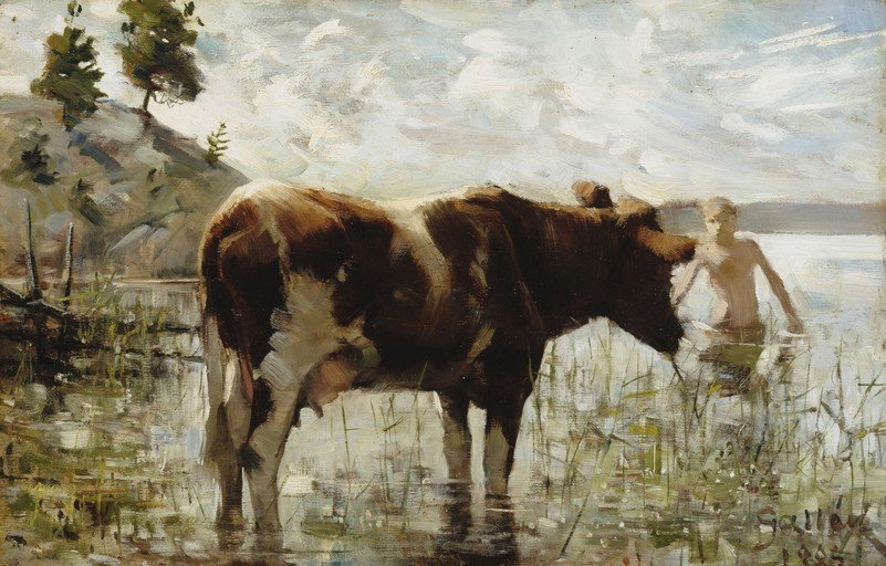 Boy and Cow in Water