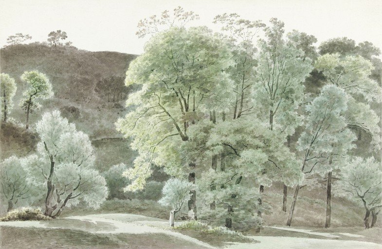 Watercolor Landscape of a Lush Forest with Rolling Hills