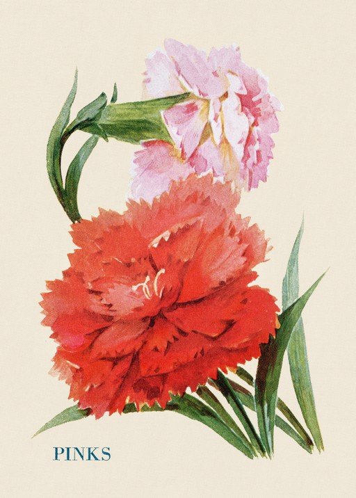 Vintage Watercolor Painting of Red and Pink Carnations