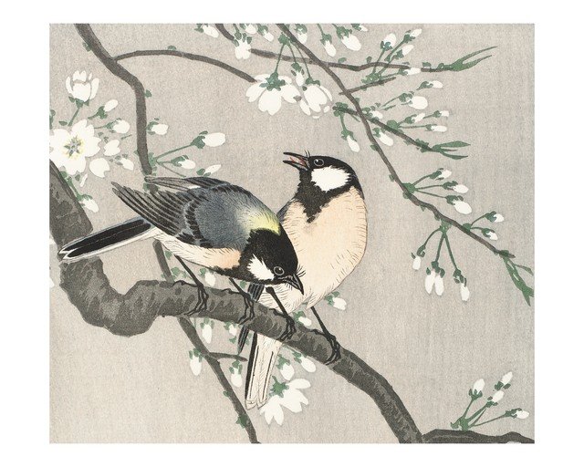 Two Birds on a Cherry Blossom Branch