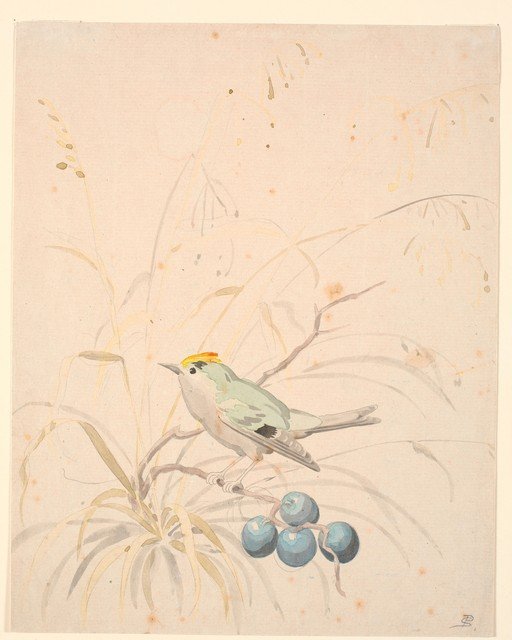 Watercolor of a small bird perched on a branch with berries