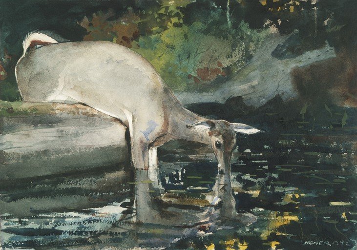 Deer Drinking from a Stream