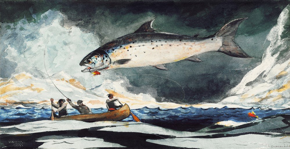 Salmon Fishing in a Stormy Sea