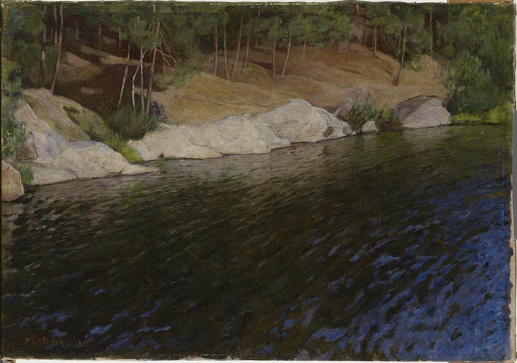Serene Riverbank with Pine Forest and Rocks