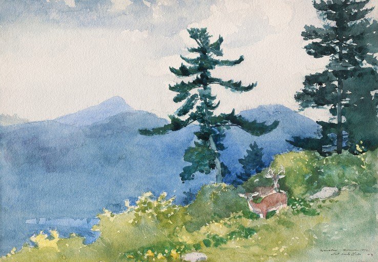 Deer in a Misty Mountain Landscape