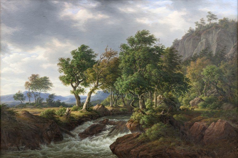 Lush Forest Stream with Rocky Outcrops and Distant Mountains