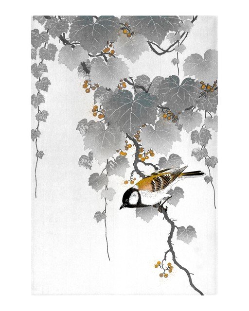 Bird on Grapevine Branch