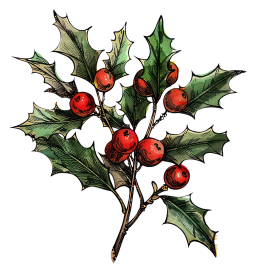 Vintage Holly Branch with Red Berries