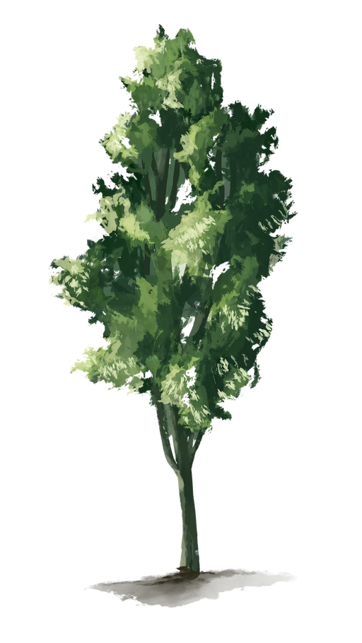 Stylized Green Tree Illustration