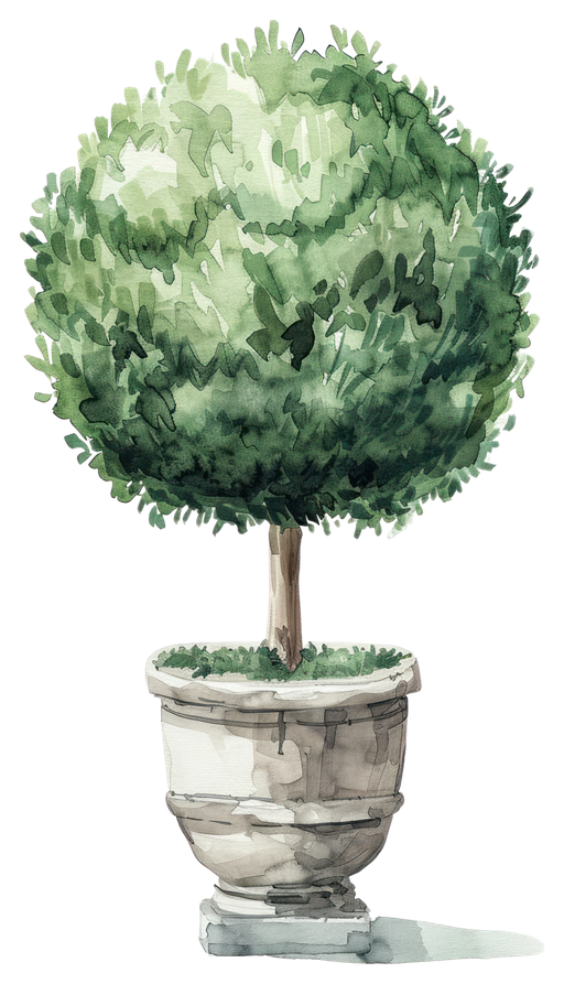Watercolor Topiary Tree in Urn